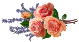 flowers-4713949_960_720 (266x144, 66Kb)