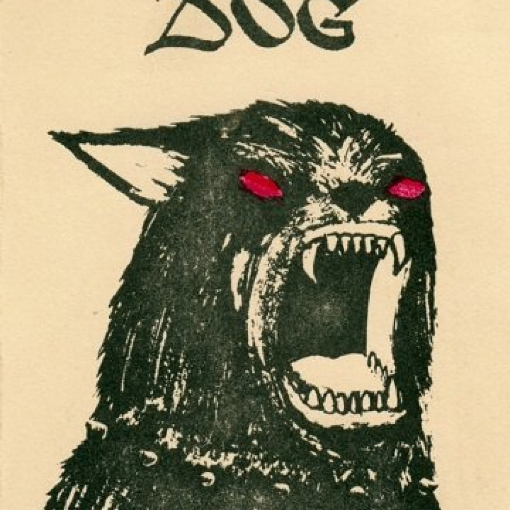 BLACK DOG (из ВКонтакте)
